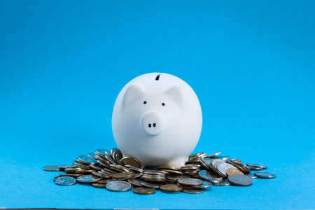Piggy bank on blue backgroundの写真素材