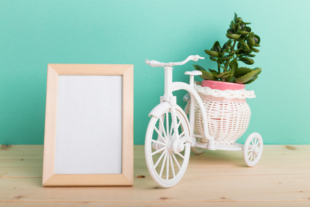 Succulents, house plants in potsの写真素材