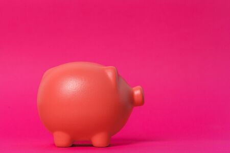 Beautiful ceramic piggy coin bank, money savings conceptの写真素材