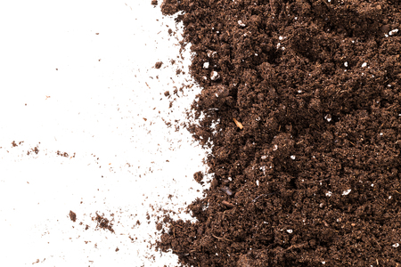 Soil or dirt section isolated on white backgroundの写真素材