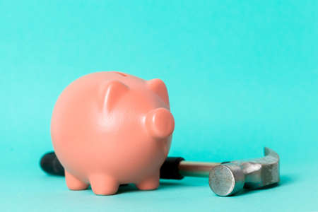 Beautiful ceramic piggy coin bank, money savings concept