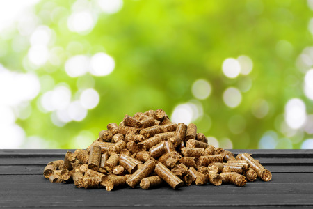 Wood pellets on a green background. Biofuels.の写真素材