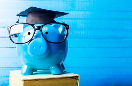 College graduate student diploma piggy bankの写真素材