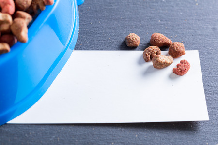 pets food on the floorの写真素材