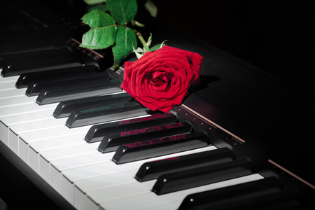 grand piano with red roseの写真素材
