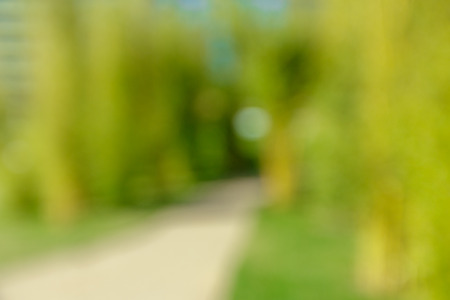 Blurred park viewの写真素材