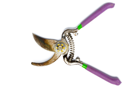 scissors garden tool on white background