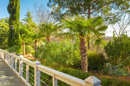 Park viewの写真素材