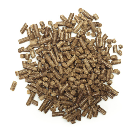 stack of wooden pellets for bio energy, white background, isolated