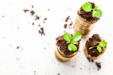 Golden coins in soil with young plant. Money growth concept.の写真素材