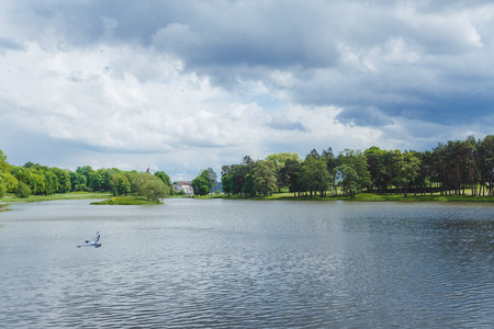 beautiful green park