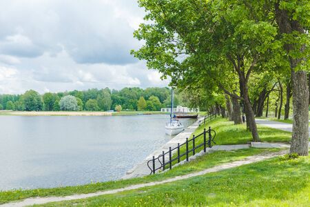 beautiful green parkの写真素材