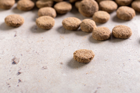 pets food on the floor