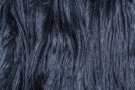 texture of fur