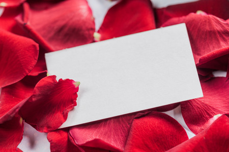Roses and a hearts on wooden board, Valentines Day backgroundの写真素材