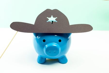 Blue piggy bank or money boxの写真素材