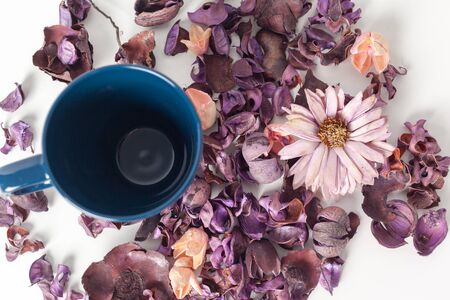 Delicate morning tea table settingの写真素材