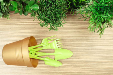 composition of garden toolsの写真素材