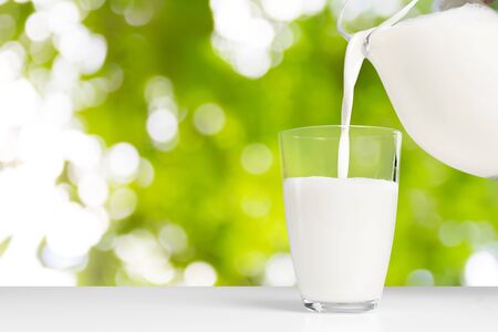 milk and green spaceの写真素材