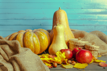 pumpkins on wooden boardの写真素材