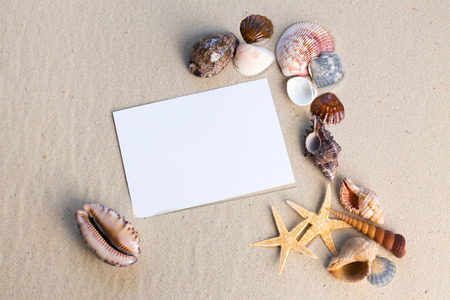 holiday beach concept with shells, seastars and an blank postcardの写真素材
