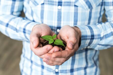 Hands holding sapling in soil surfaceの写真素材