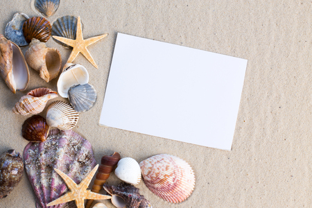 holiday beach concept with shells, seastars and an blank postcardの写真素材