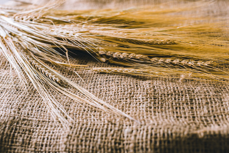 Wheat on sackcloth