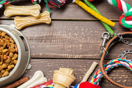 Pet accessories, food, toy. Top viewの写真素材