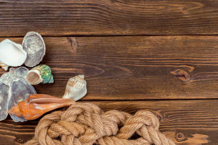 Seashells border on wood. Marine background