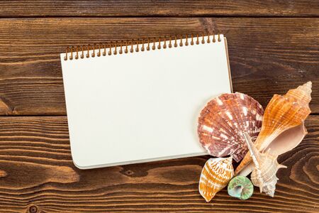Shells and notepad on wooden table. Top view with copy spaceの写真素材