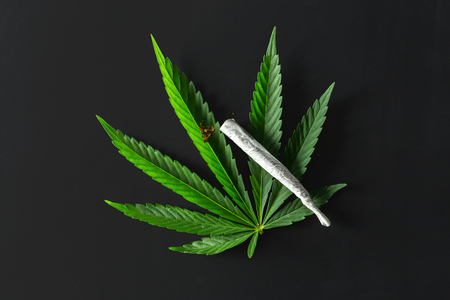 Medical marijuana.の写真素材