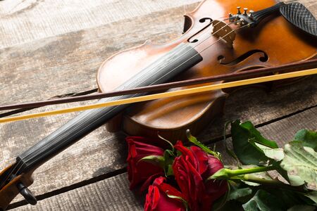 Red roses and a violinの写真素材