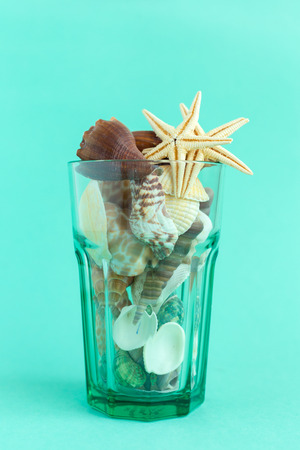 seashells on a bright backgroundの写真素材