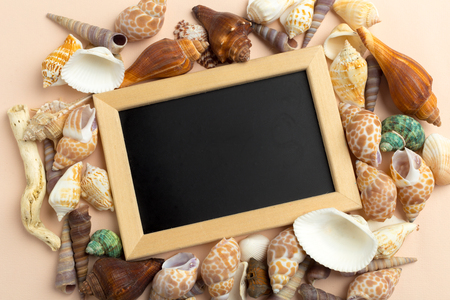 Card with seashell. greeting from the seaの写真素材