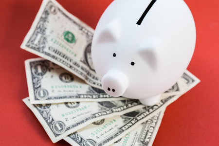 White piggy bank and US dollarsの写真素材