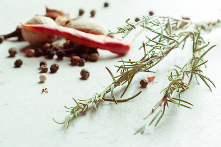 Spices and herbsの写真素材