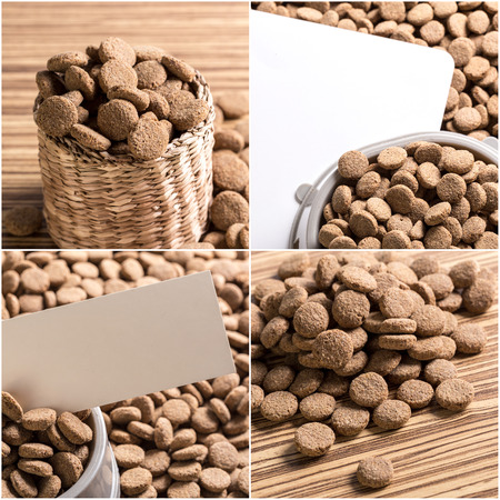 dry food for dogsの写真素材