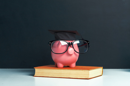 College graduate student diploma piggy bankの写真素材