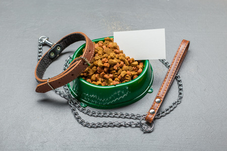 Pet accessories, food, toy. Top viewの写真素材