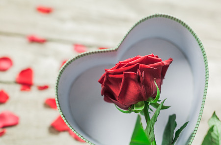 Roses and a hearts on wooden board, Valentines Day backgroundの写真素材