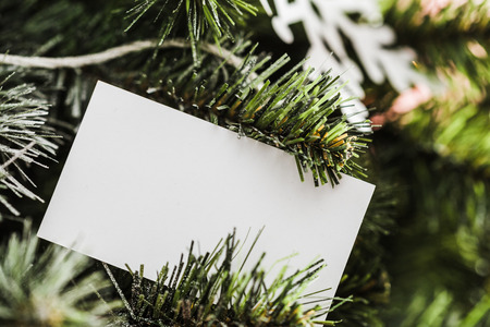 Business cards blank mockup
