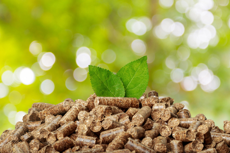 Wood pellets on a green background. Biofuels.の写真素材