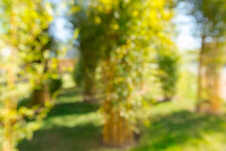 Blurred park viewの写真素材