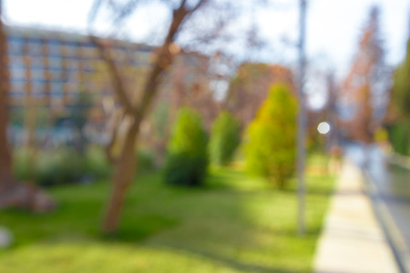 Blurred park viewの写真素材