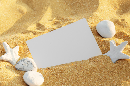 Pictue frame on shells and sand background. Copy space.の写真素材
