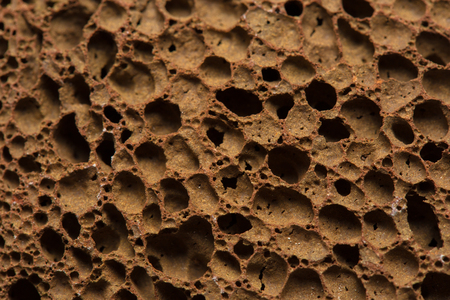 Closeup rock erosion holes sea wall.の写真素材