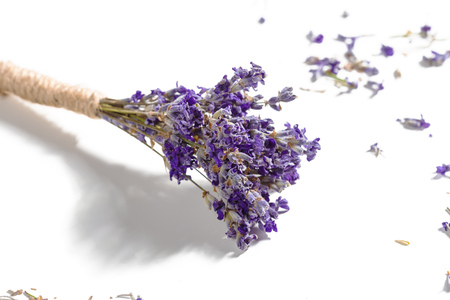 Lavender flowers bunchの写真素材