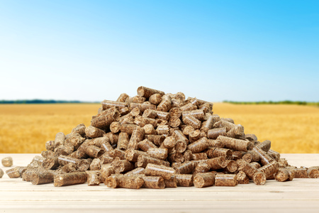 pellet on the table