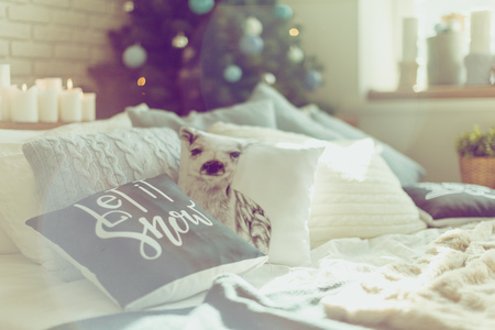 Christmas interior bedroom. Cozy and stylish modern roomの写真素材